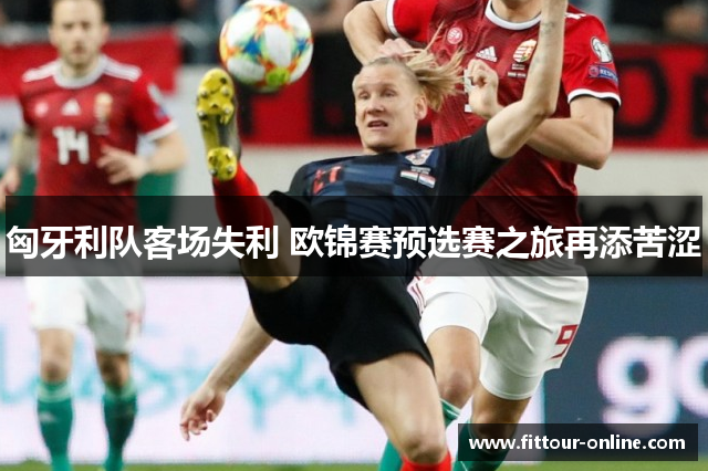 匈牙利队客场失利 欧锦赛预选赛之旅再添苦涩